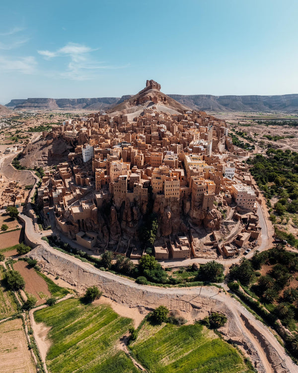 SUMUR HONEY Wadi Hadhramut عسل السمر من وادي حضرموت