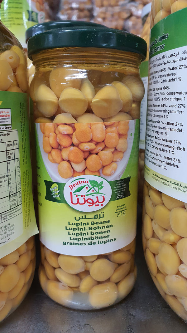 الفاصوليا Beutna Lupini