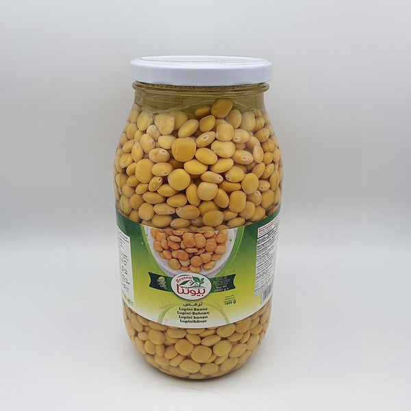 الفاصوليا Beutna Lupini